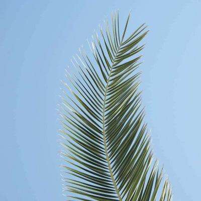 星空体育全站App截图